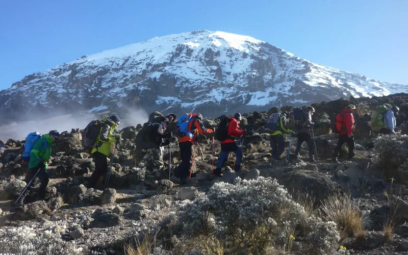 Which Kilimanjaro Route Offers The Best Summit Success Rate?