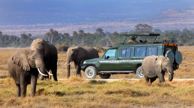 Cheap Safari Destinations Africa