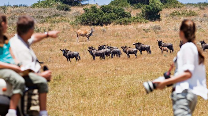 Family Safaris East Africa