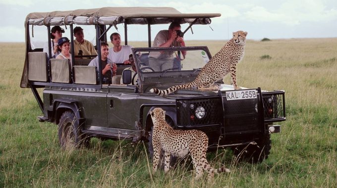 Nairobi To Masai Mara Tours