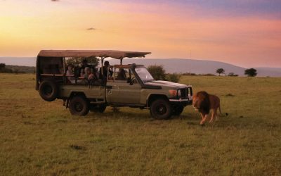 Planning Your Safari In Africa