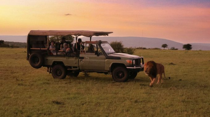 Planning Your Safari In Africa
