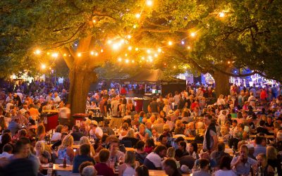 Discover The Top 6 Winter Festivals In South Africa For 2025—featuring Afrikaburn, Innibos, KKNK, Bushfire, And More. Music, Art, Food, And Cultural Magic Await!