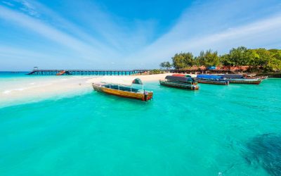 10 Best Things To Do In Zanzibar: Must-See Attractions And Activities