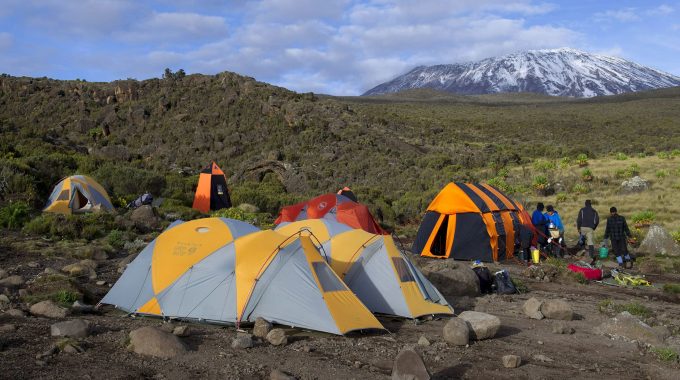 Discover The Best African Mountains To Climb—from Kilimanjaro And Mount Kenya To The Rwenzoris And Toubkal. Routes, Tips, And Top Hiking Seasons.