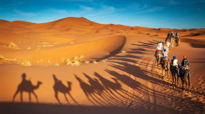 African Desert Safaris: Explore Namibia’s Epic Desert Landscapes