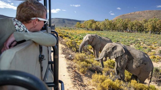 Discover The Best Big 5 Safari Reserves Near Cape Town—from Aquila And Inverdoorn To Sanbona And Buffelsfontein. Explore Affordable Day Trips And Budget-friendly Overnight Stays Close To The City.