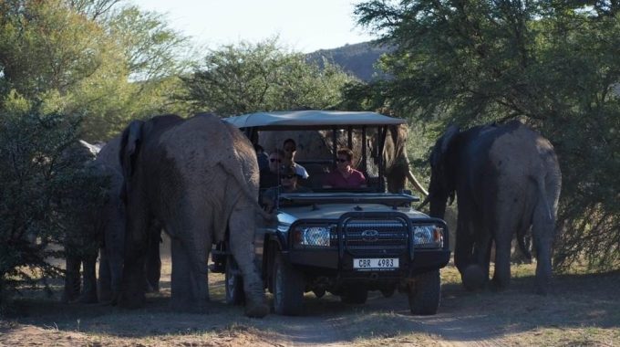 Sanbona Safari Secrets: Discover The Wild Heart Of The Little Karoo