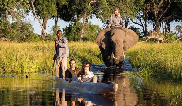 Discover Expert Tips For Planning Your Okavango Delta Safari—from The Best Time To Visit And Wildlife To Mokoro Vs Game Drive Safaris, Health Advice, And Top Camps. Make The Most Of Your Botswana Adventure With This Complete Safari Guide.