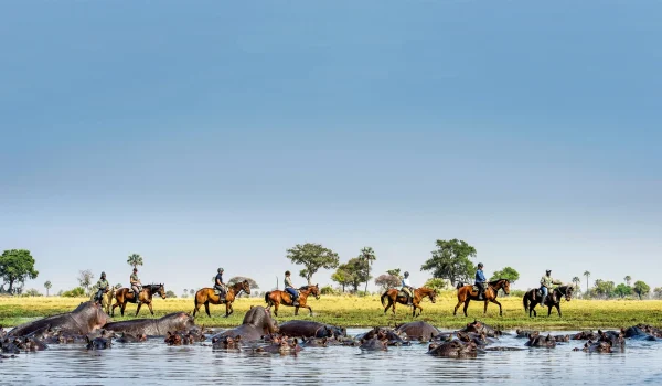 Discover Africa’s Most Stunning Wetlands, Lakes, And Estuaries—from Botswana’s Okavango Delta And Kenya’s Lake Naivasha To Egypt’s Nile Delta And Malawi’s Crystal-clear Lake Shores. Explore Top Wildlife, Birding, And Wetland Travel Experiences.