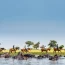 Discover Africa’s Most Stunning Wetlands, Lakes, And Estuaries—from Botswana’s Okavango Delta And Kenya’s Lake Naivasha To Egypt’s Nile Delta And Malawi’s Crystal-clear Lake Shores. Explore Top Wildlife, Birding, And Wetland Travel Experiences.