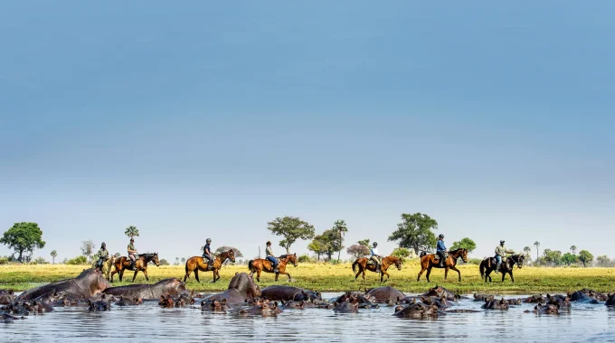Discover Africa’s Most Stunning Wetlands, Lakes, And Estuaries—from Botswana’s Okavango Delta And Kenya’s Lake Naivasha To Egypt’s Nile Delta And Malawi’s Crystal-clear Lake Shores. Explore Top Wildlife, Birding, And Wetland Travel Experiences.