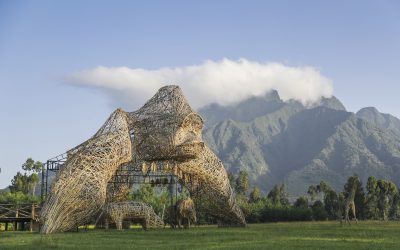 10 Best National Parks In Africa For Safaris, Wildlife & Adventure