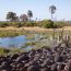 Planning A Trip To Botswana’s Okavango Delta? Discover Where The Okavango Delta Is Located, How To Get There, And The Best Time To Visit For Wildlife, Mokoro Safaris, Birdwatching, And Scenic Flood Season Views.