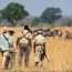 Discover The Best Time For Walking Safaris In Zambia, When To Avoid Them, And How To Plan The Perfect On-foot Adventure Through South Luangwa And Beyond.