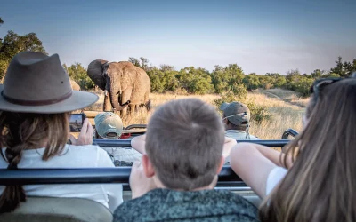 Top 10 African Safari Destinations For Travel With Teens