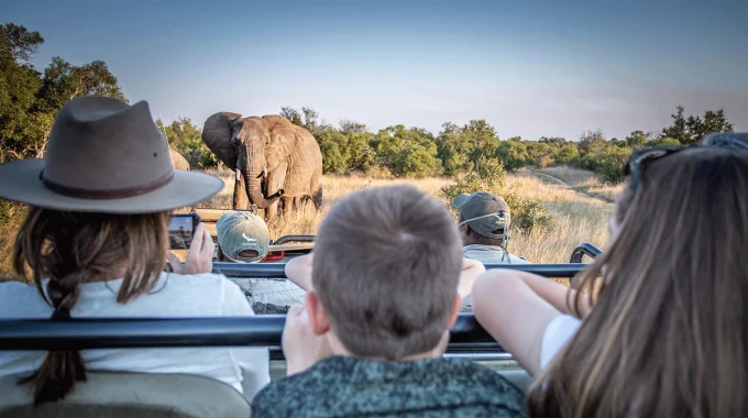 Top 10 African Safari Destinations For Travel With Teens