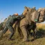 African Parks Has Acquired 2,000 White Rhinos From The World’s Largest Private Herd In South Africa And Plans To Rewild Them Across Protected Parks In Africa. Learn About This Bold Conservation Effort And Its Global Impact.