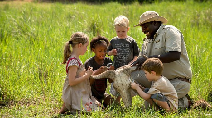Best Family Friendly Safaris
