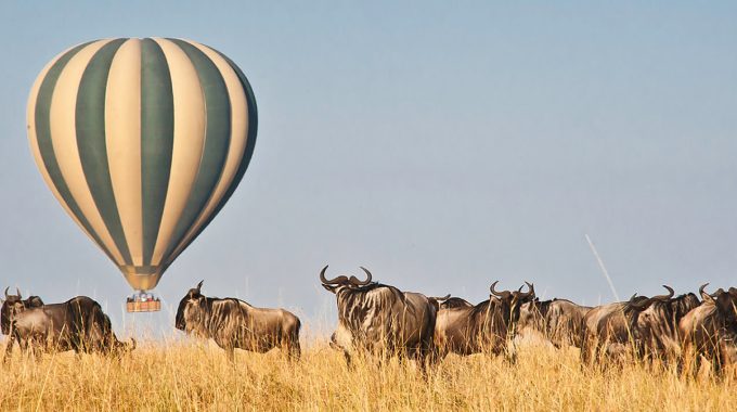 Discover Epic East African Adventures—from Gorilla Trekking In Uganda To Diving In Lake Malawi And Balloon Safaris Over The Serengeti. Thrill Meets Wildlife Here.