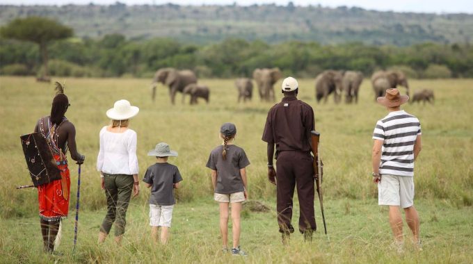 Plan Your Walking Safari In Africa With Expert Tips On Gear, Safety, Destinations, And What To Expect. Trek Through Wild Landscapes With Confidence And Awe.