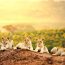 Discover The Top 50 Wild Animals To See On An African Safari, Including Where And How To Spot Each Species—from Lions And Elephants To Rare Birds And Reptiles.