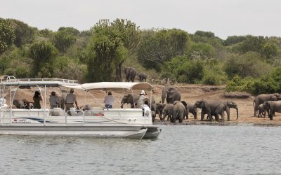 Kazinga Channel Boat Cruise
