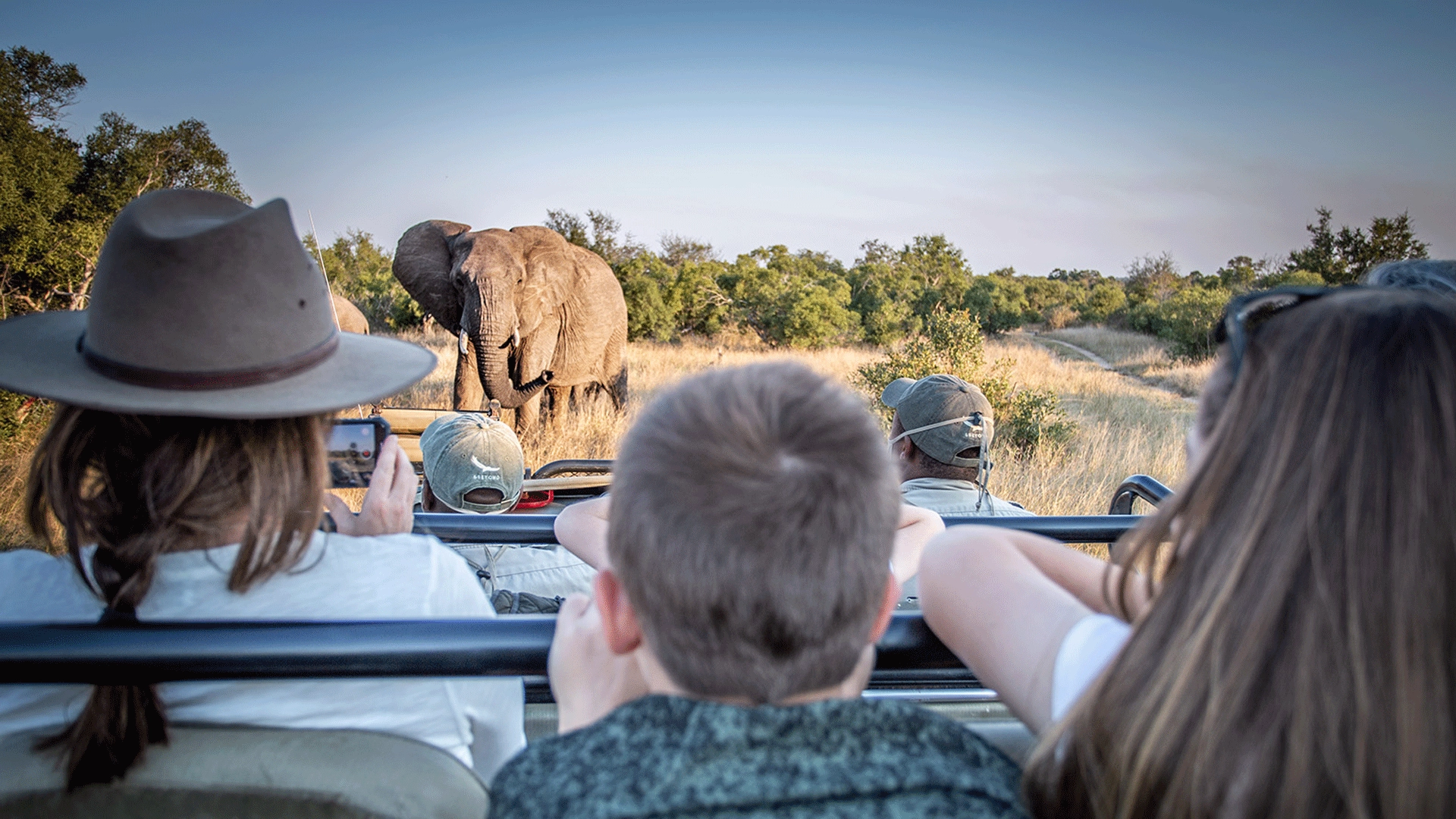 10 Cheapest African Countries to Visit for an Affordable Safari