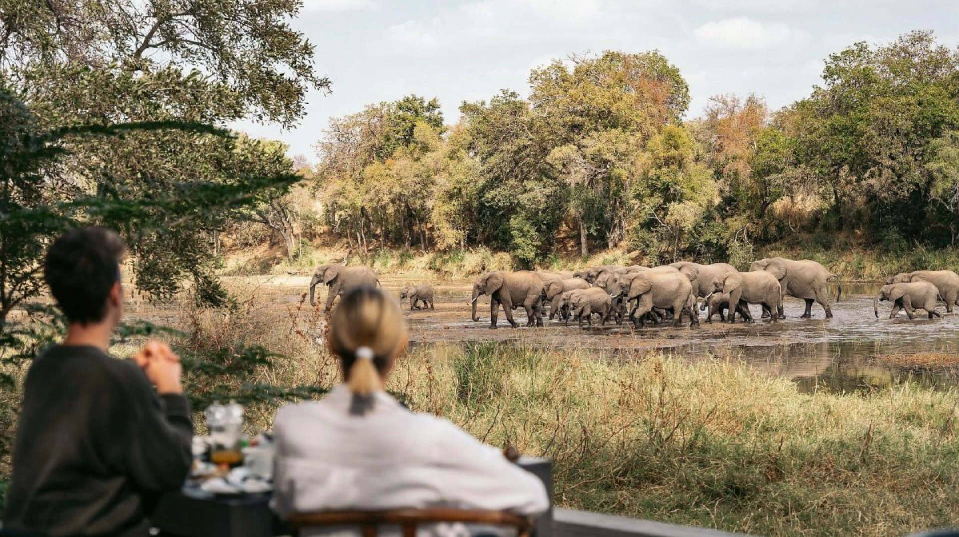 African Safari Budget Planning Guide 2027: How to Save Money