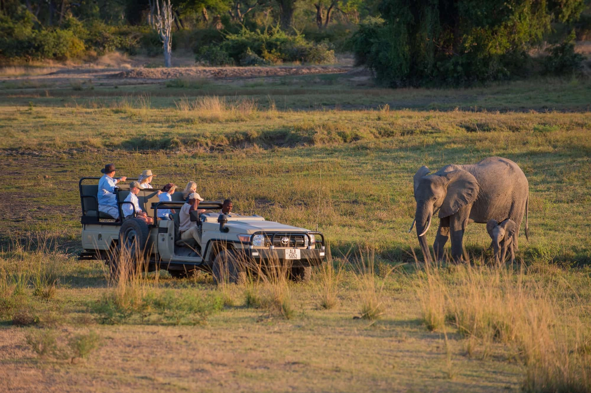 African Safari Calendar