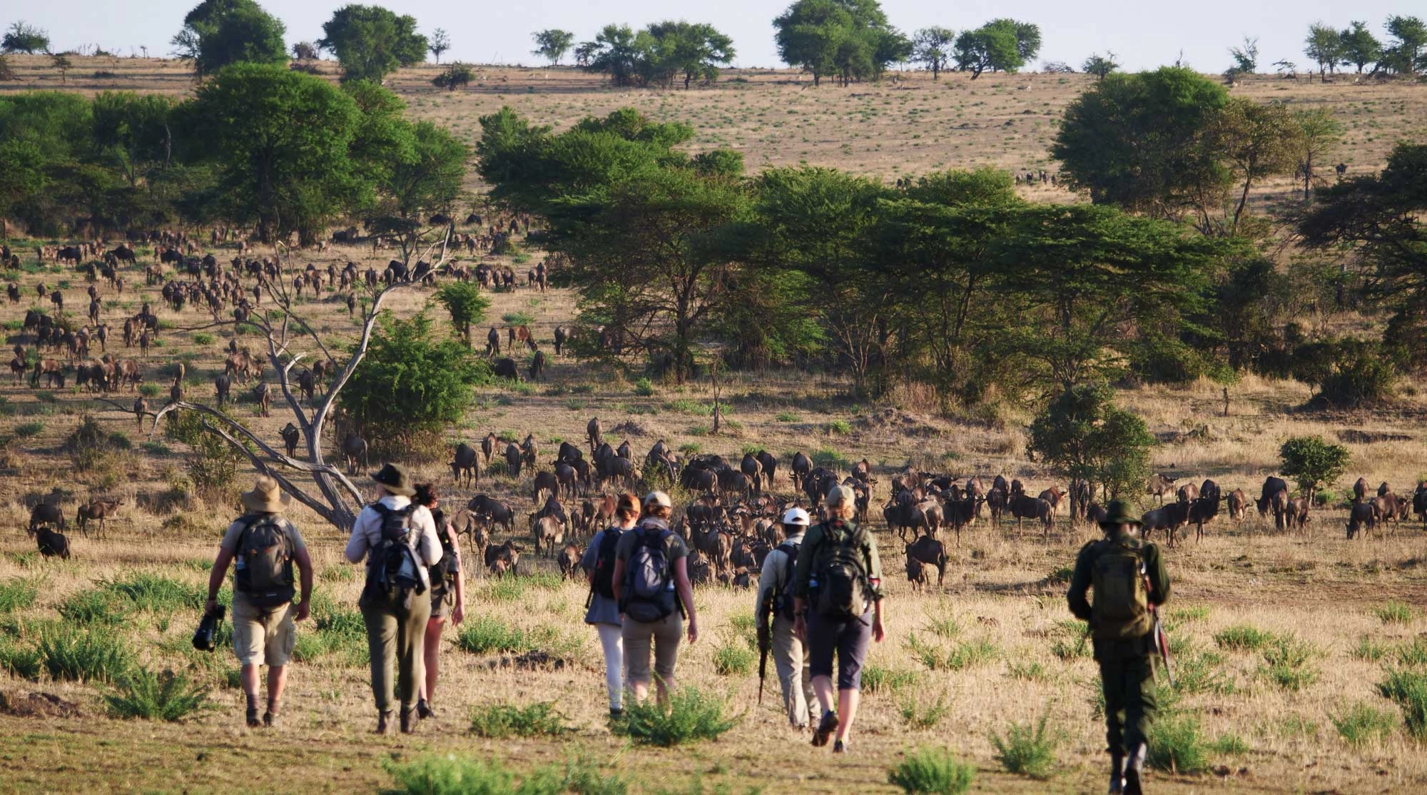 African Walking Safaris: Where to Go & When Walking Safaris