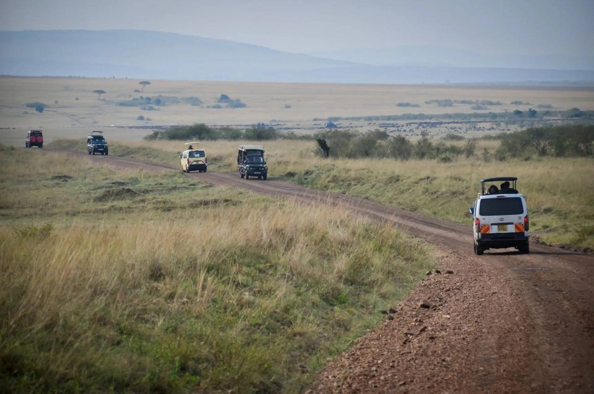 Are African safari roads rough?