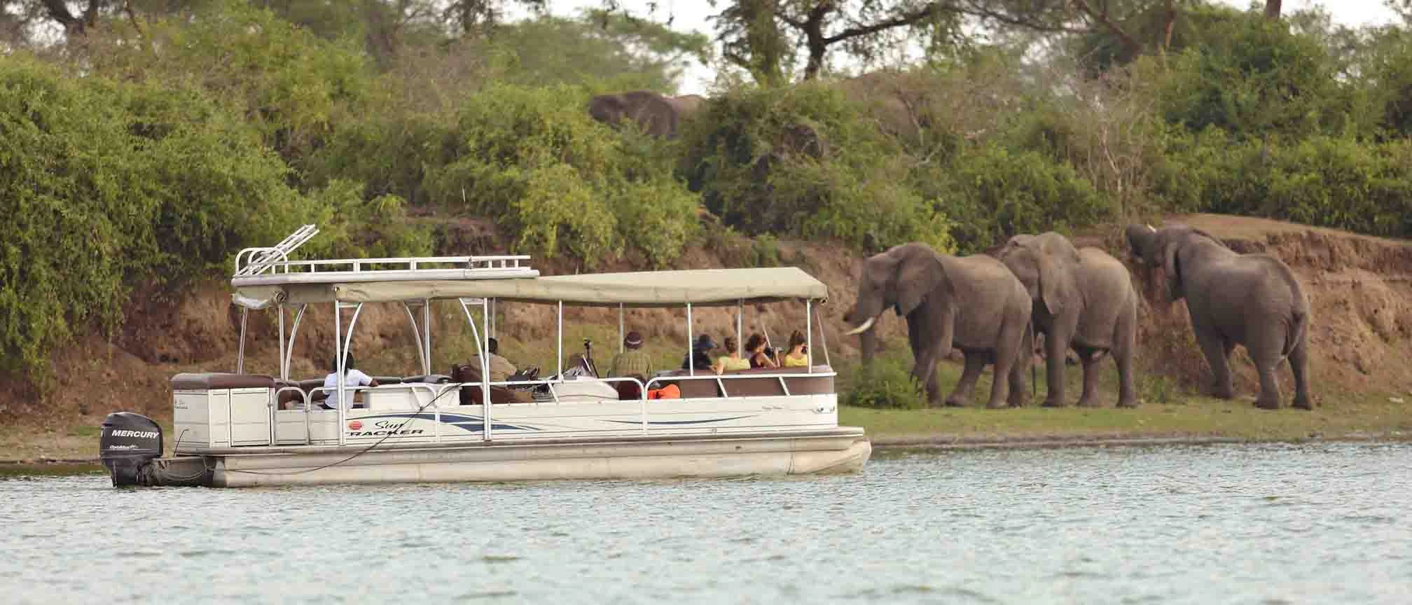 Are last-minute safari deals worth it?