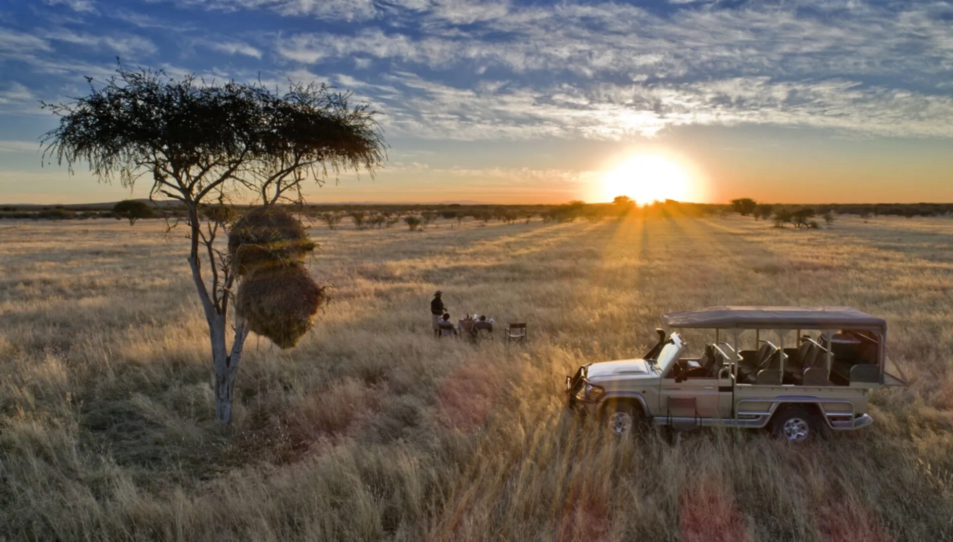 Are night game drives allowed in a wildlife conservancy?