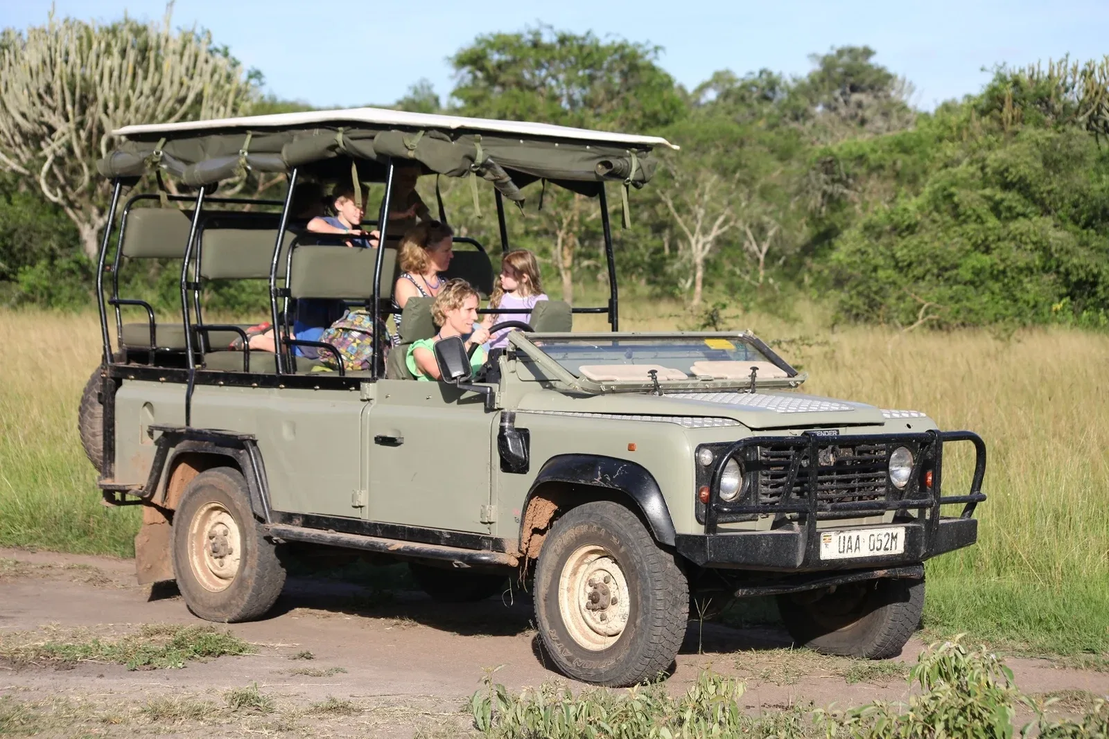 Wildlife in Kenya
