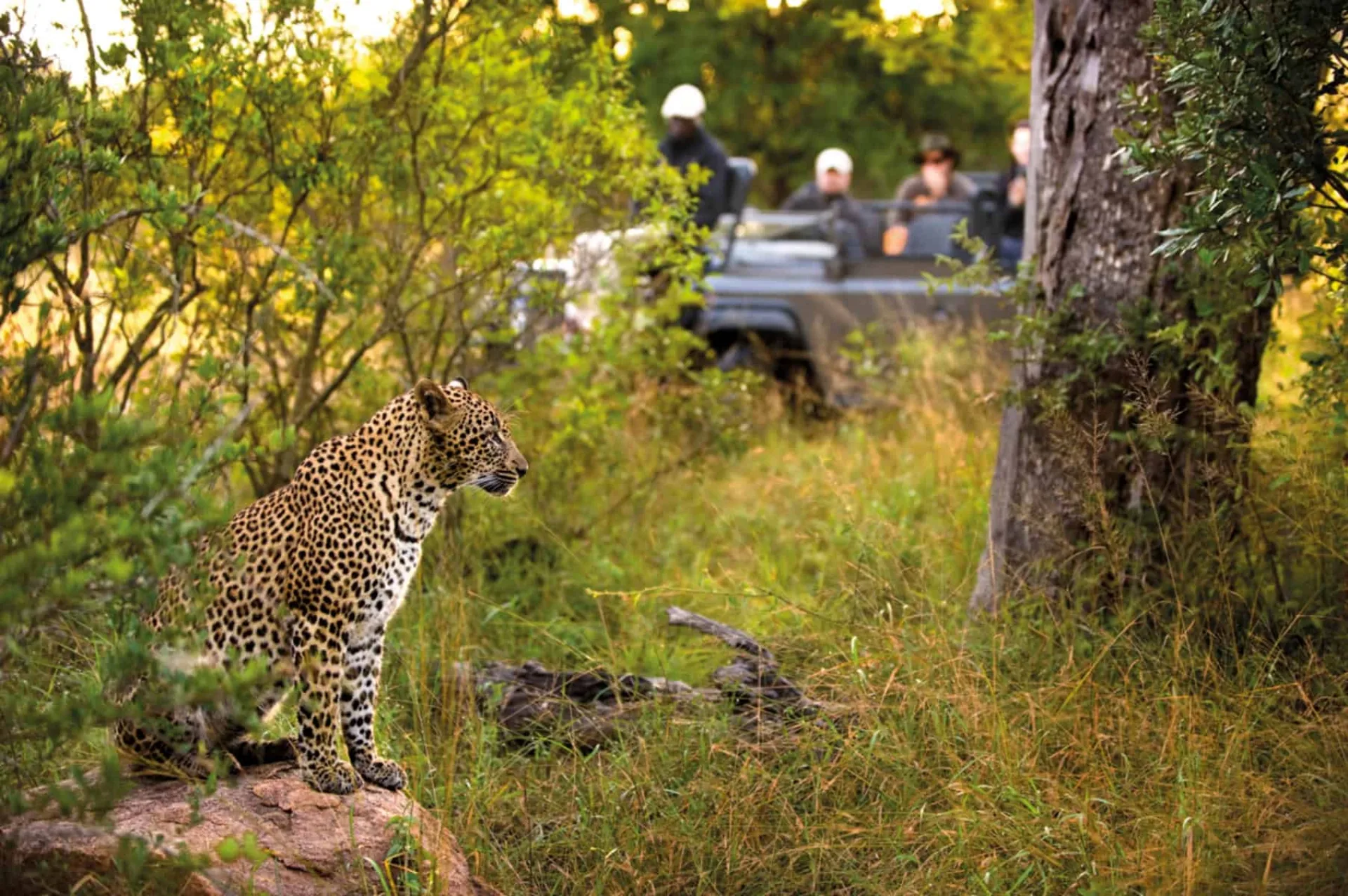 Are off-road game drives allowed in a private concession?