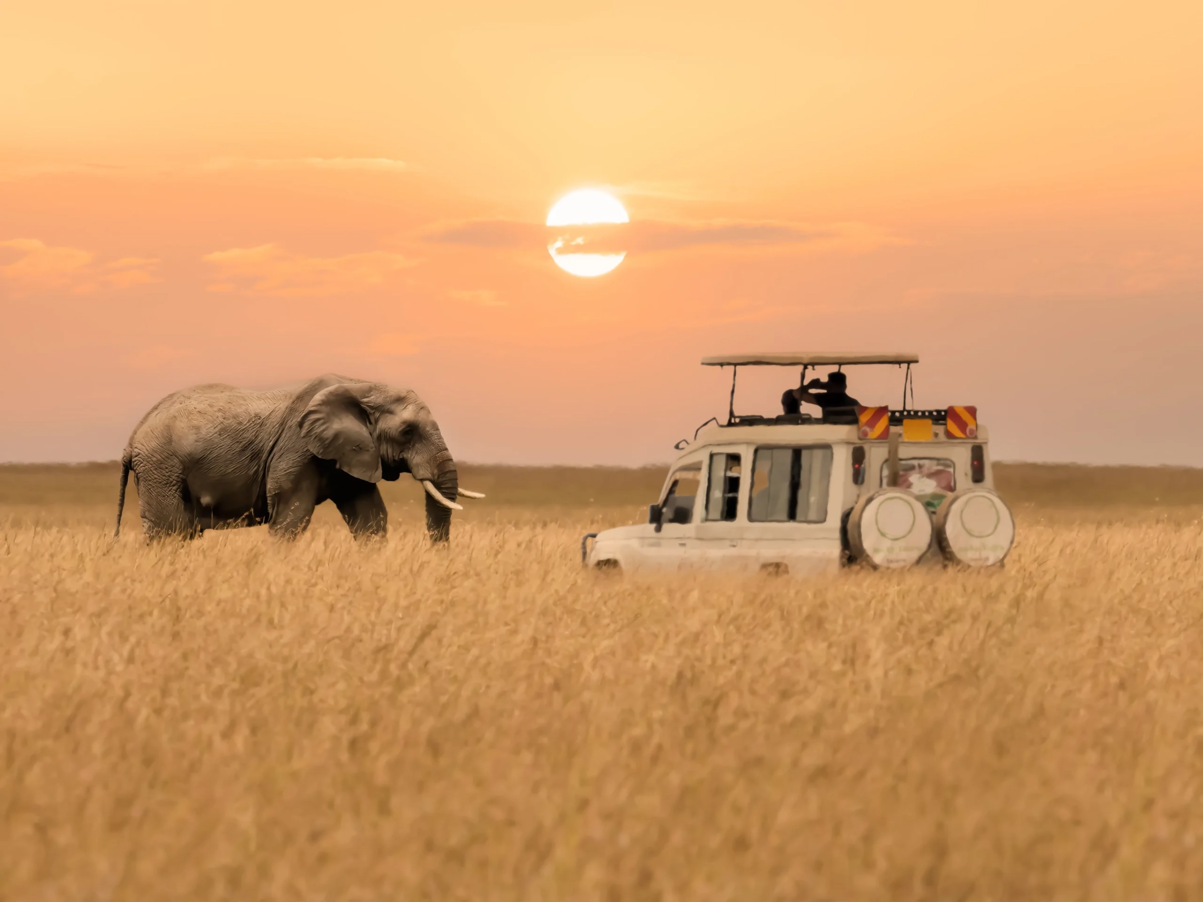 Are park fees included in safari packages?