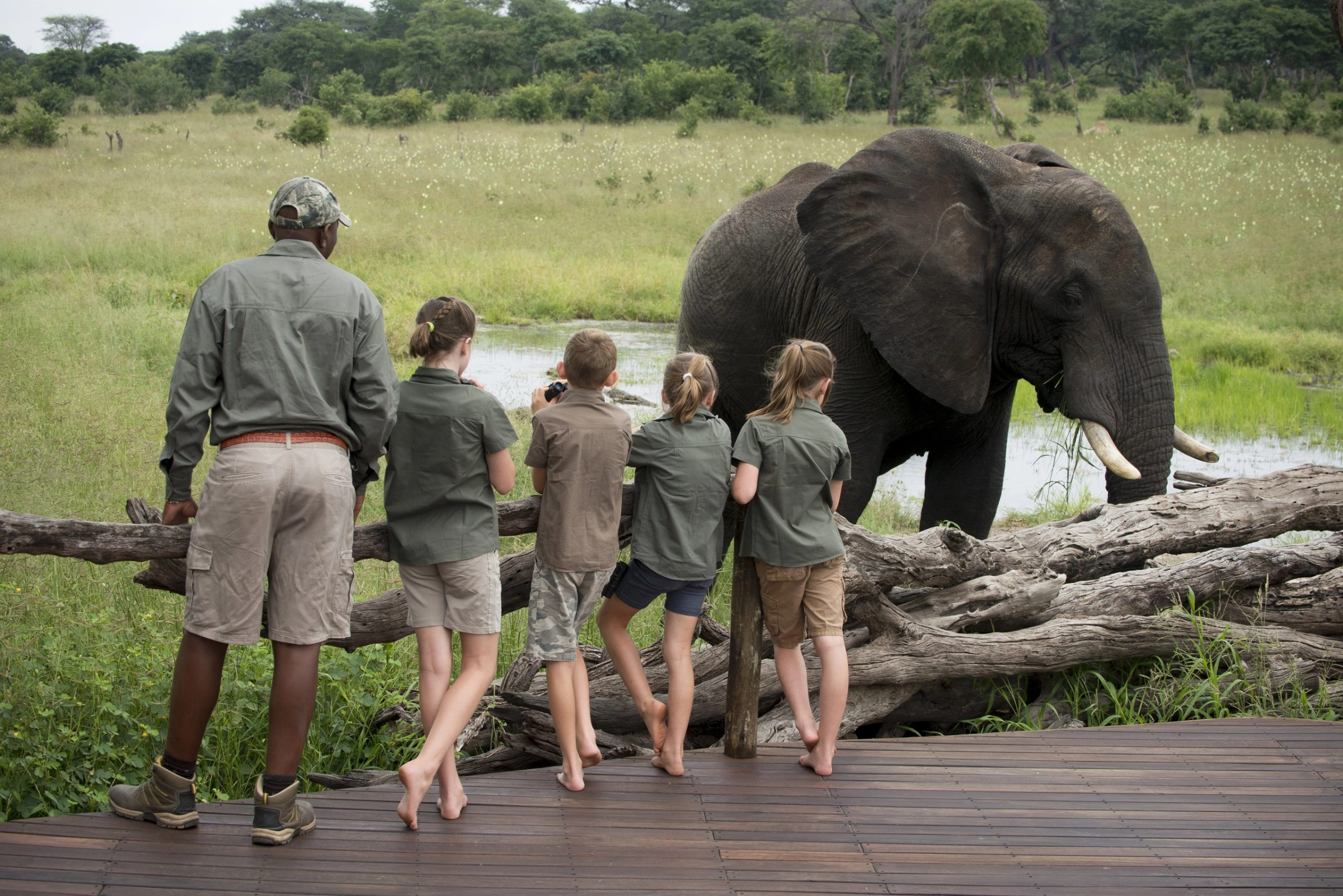 Are there age restrictions on safari activities?