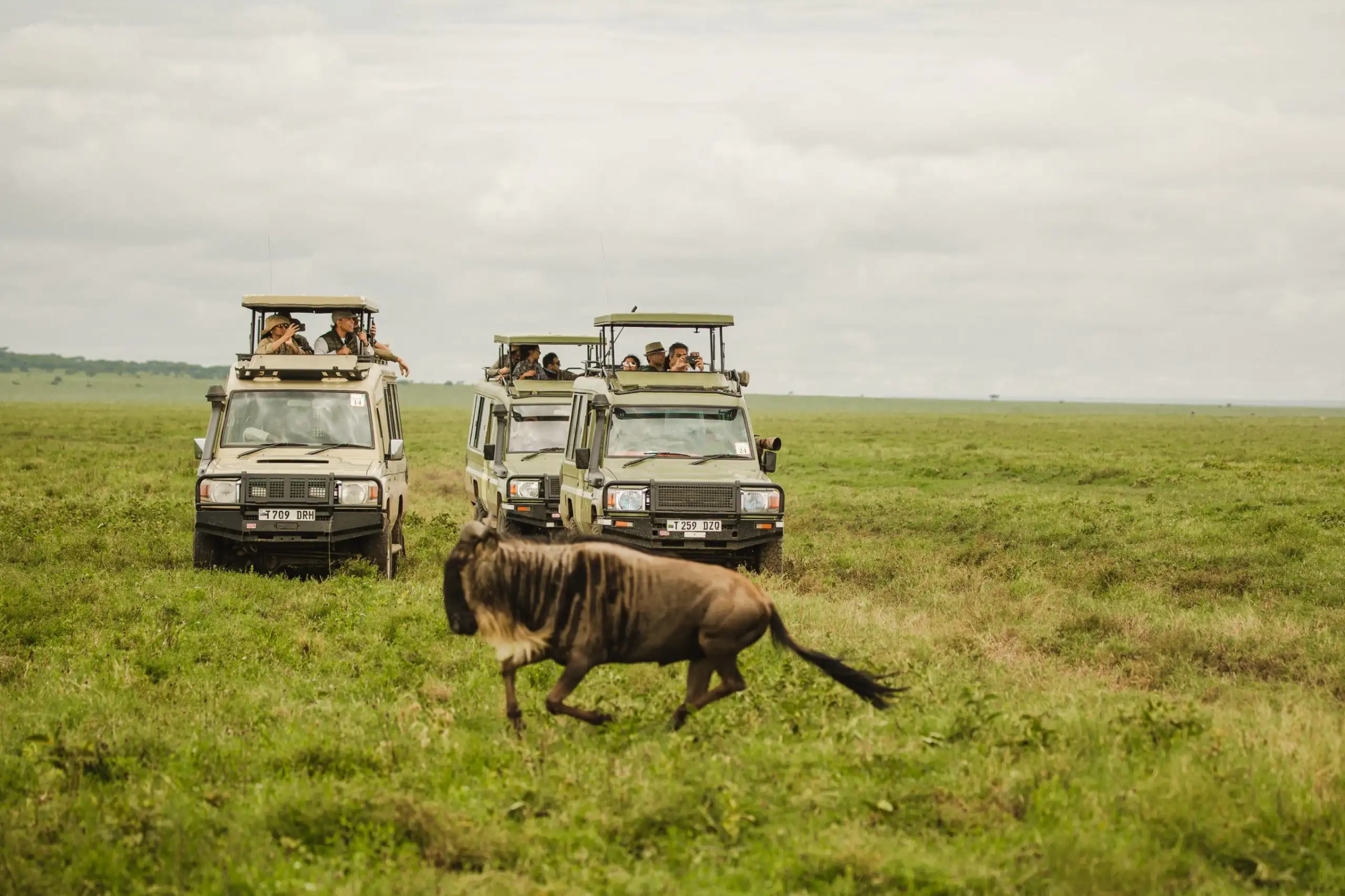 Arusha nach Serengeti: Fahrzeit oder Flug?