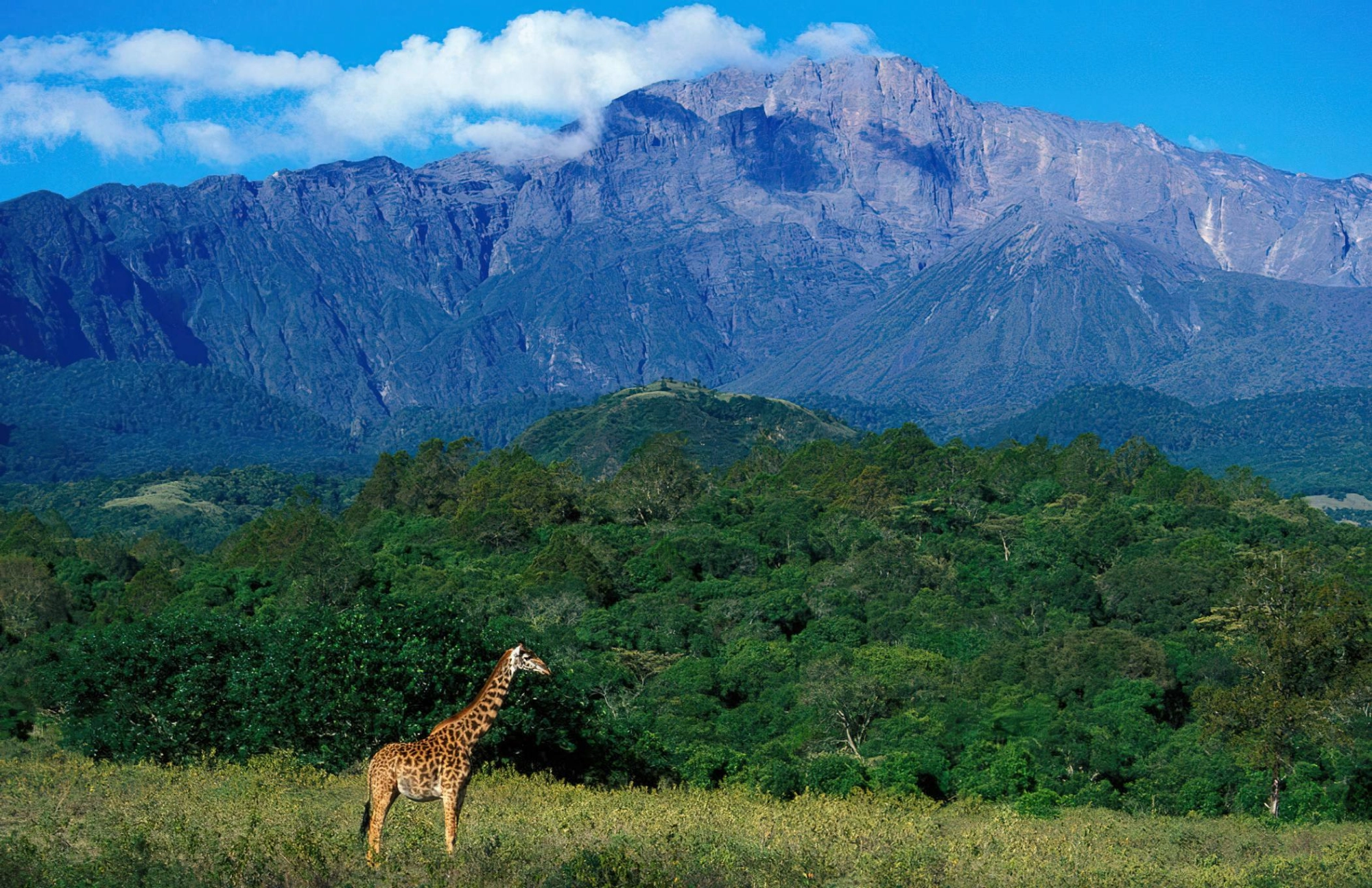 Arusha Nationalpark und Mount Meru