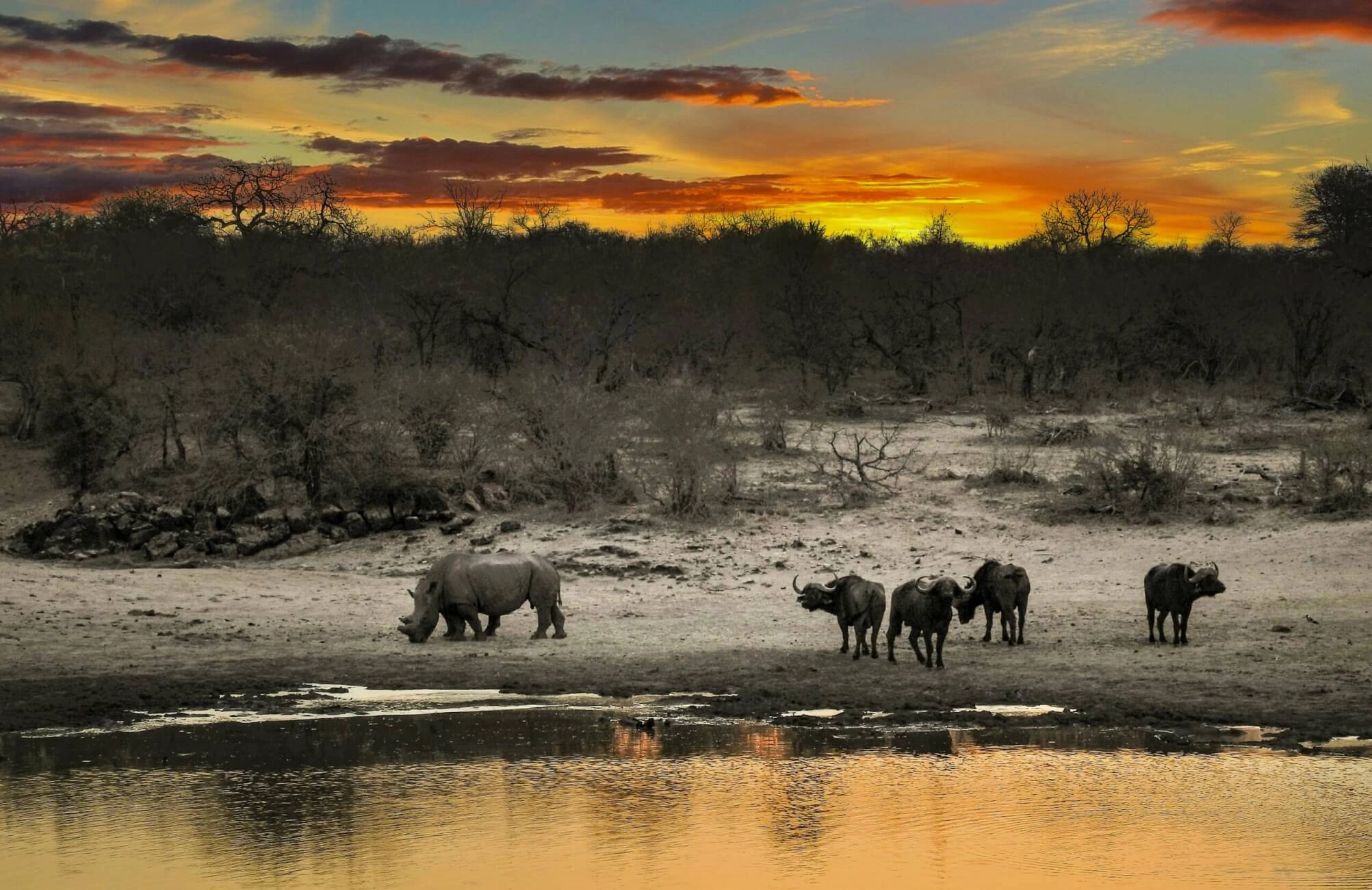 Best African Winter Safaris: Where to Go in June, July & August