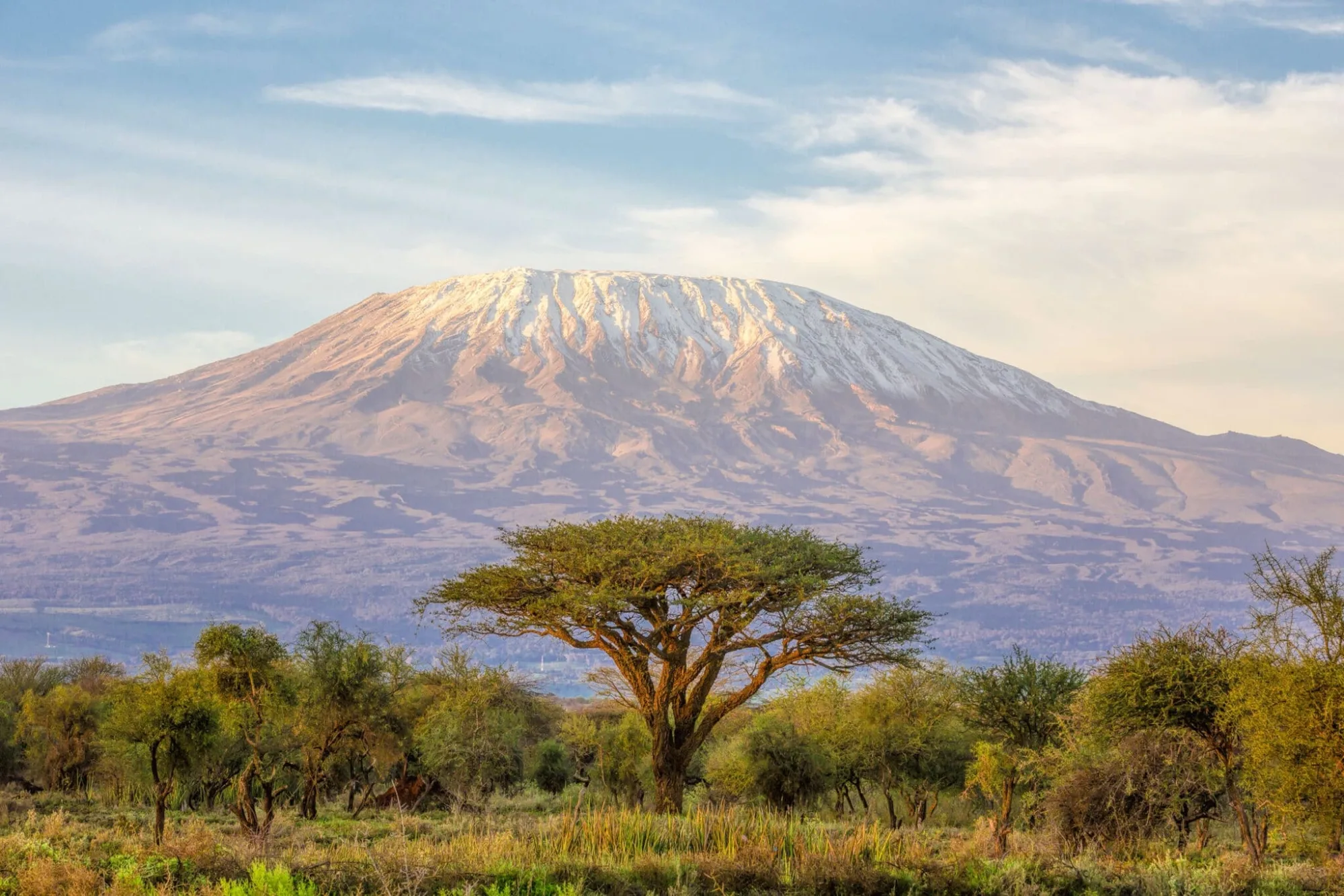 Big Five safari in Kenya