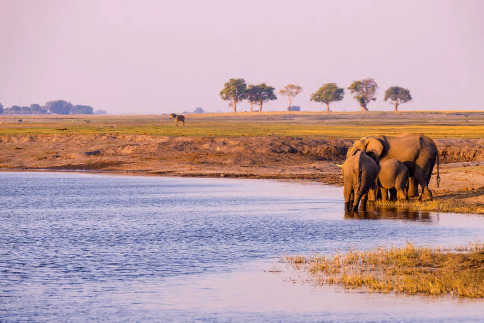 Birdwatching in Kenya