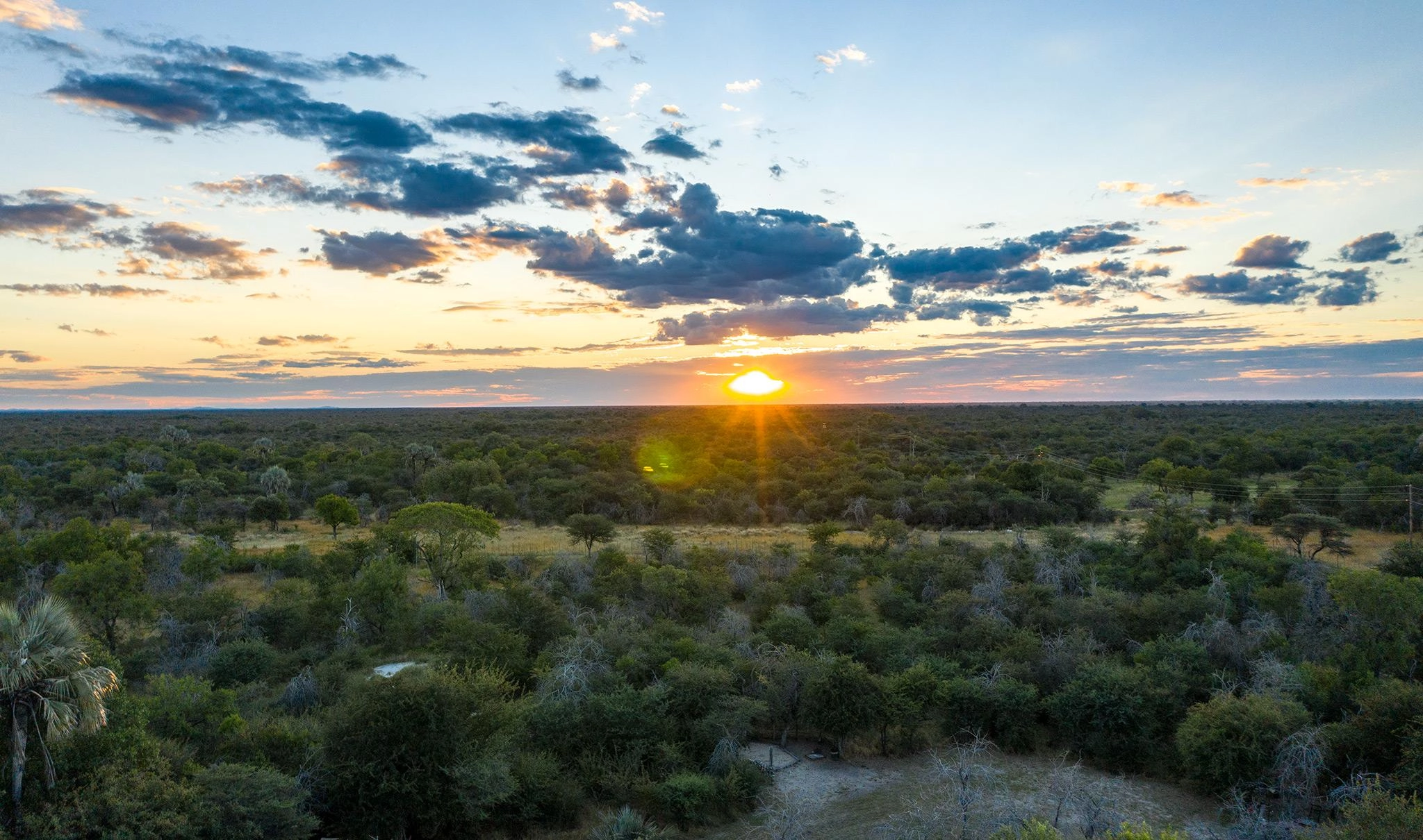 Botswana or Tanzania: which is better for safari?