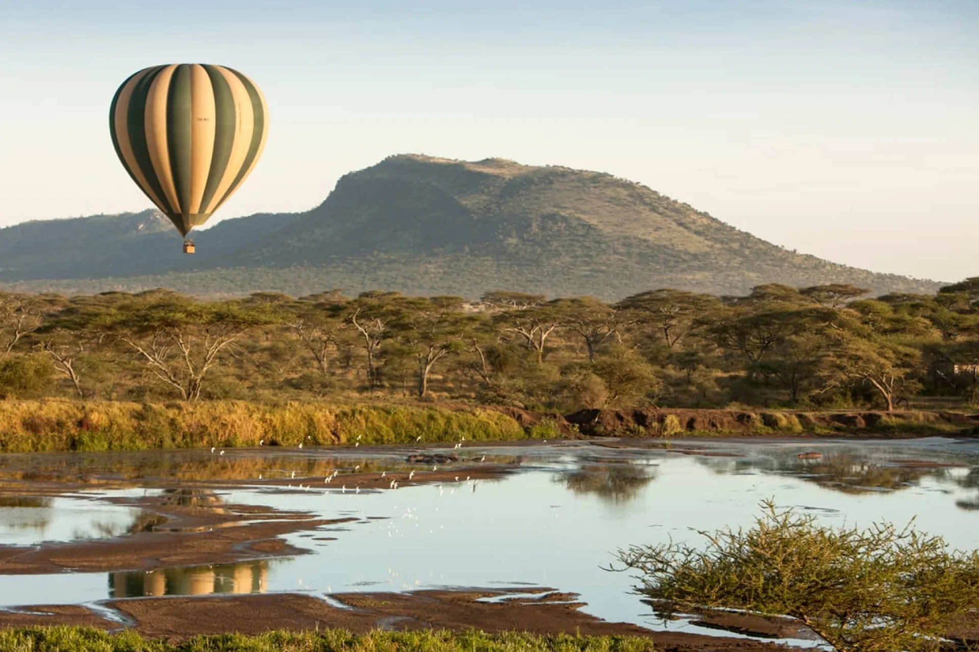 Can I celebrate New Year on safari?