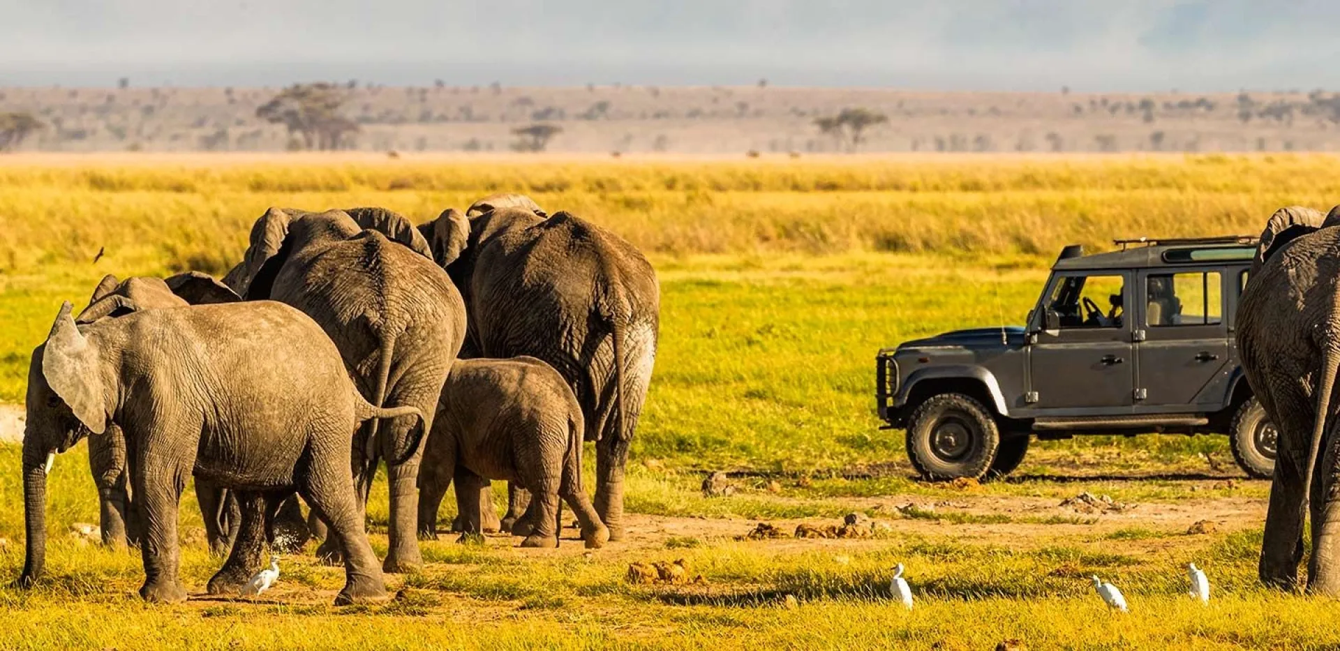 Can I combine Kenya and Tanzania in one safari?