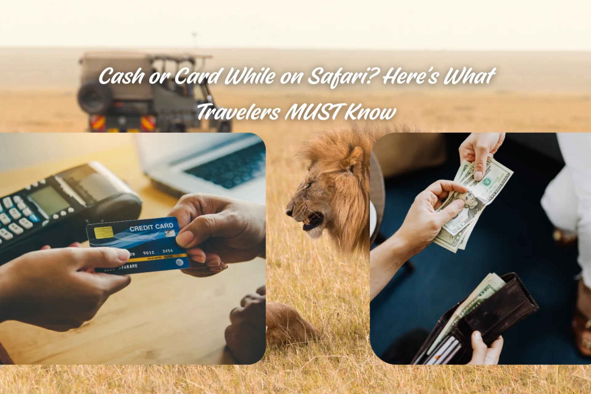 Can I use credit cards while on safari?