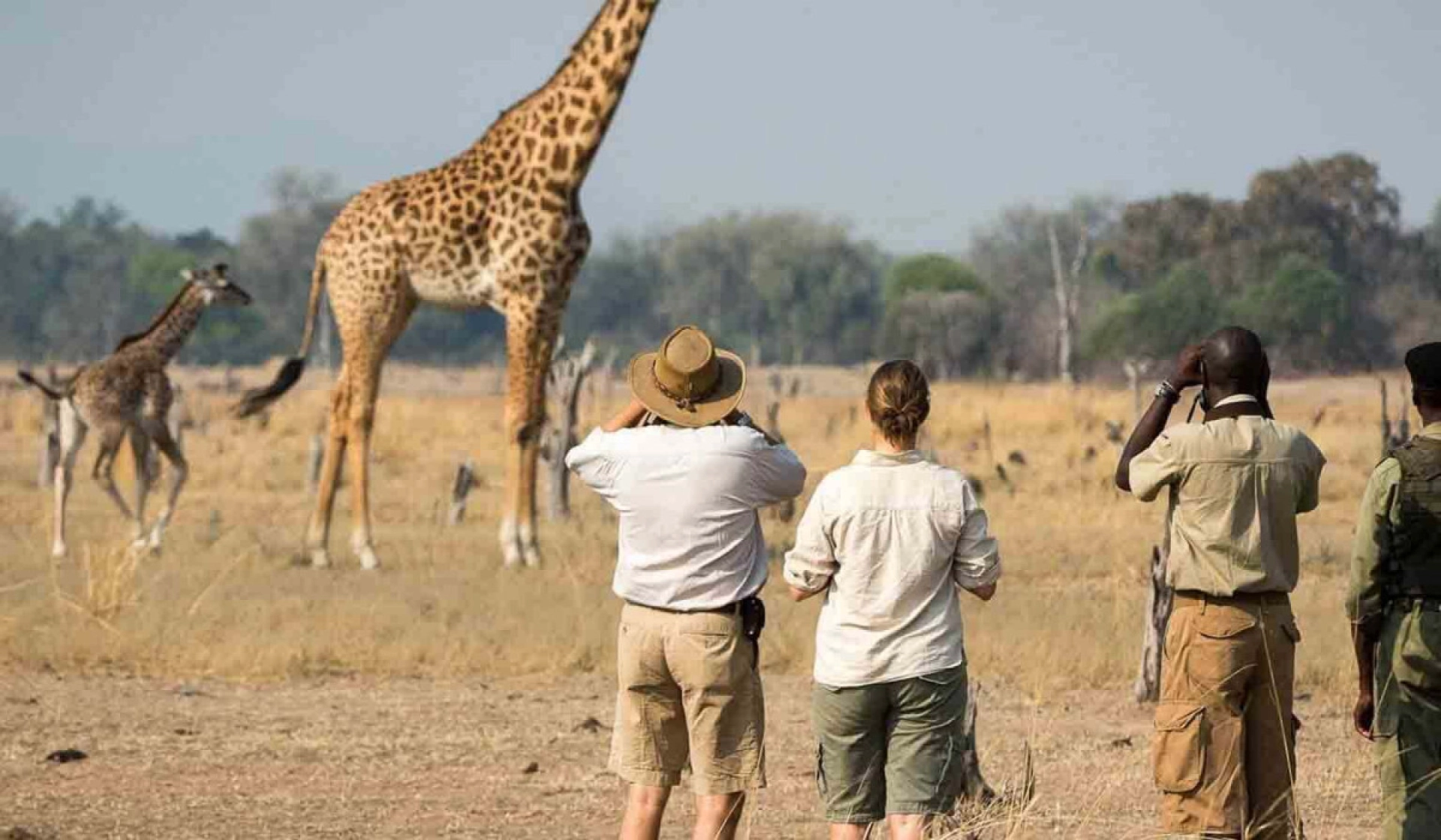 Can I wear shorts on safari?