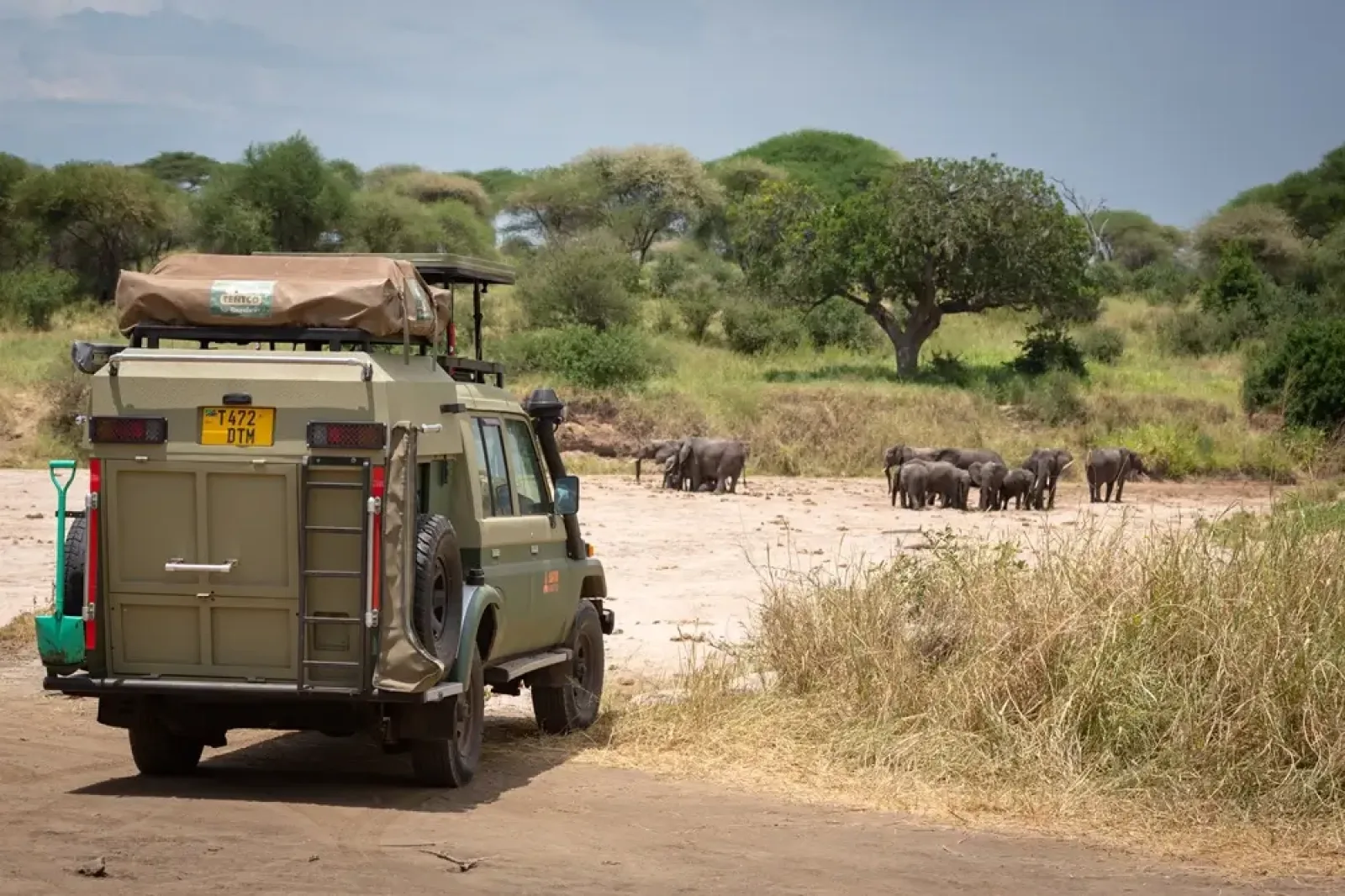 Chimpanzee trekking in Ngorongoro