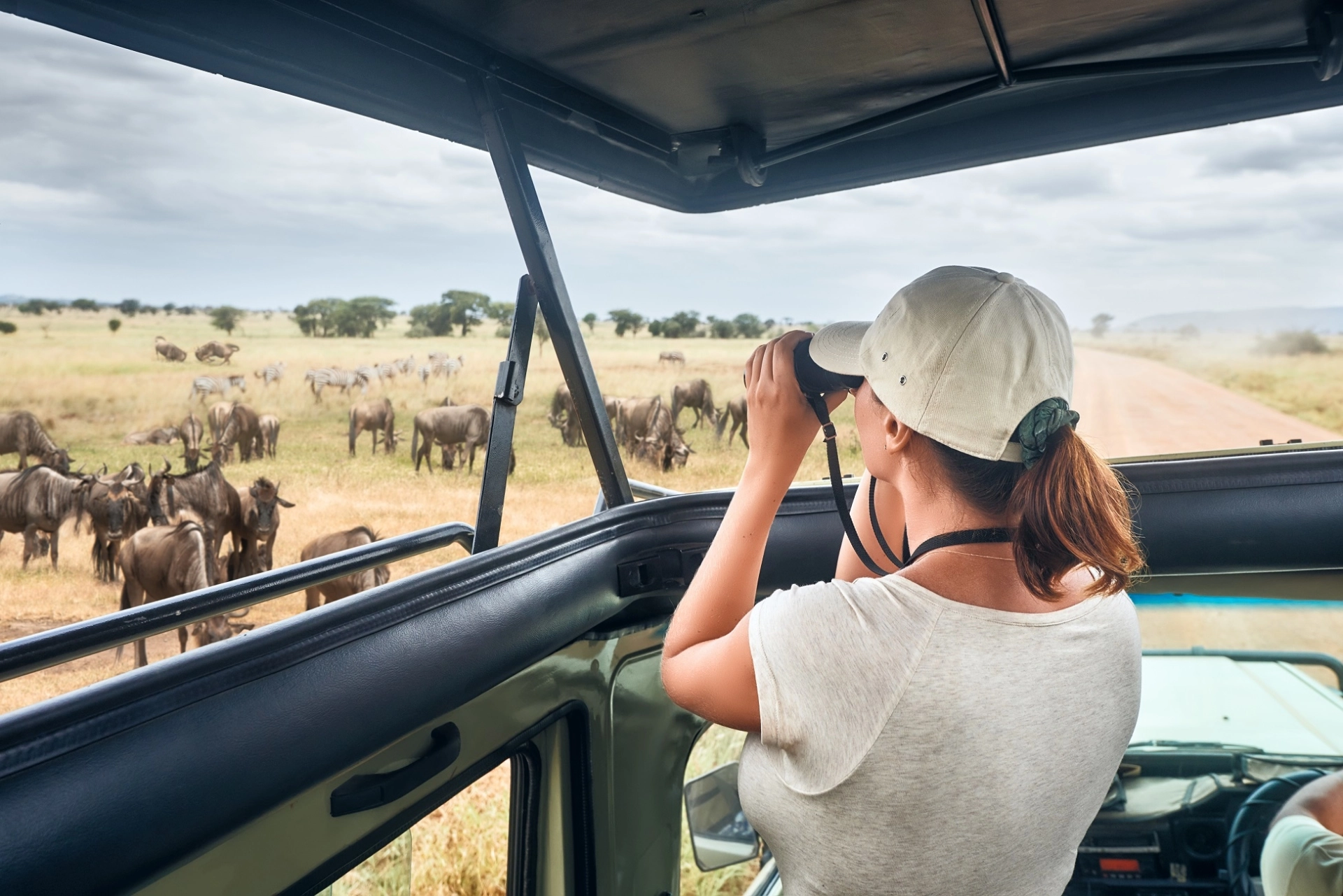 Circuit safari Tanzanie